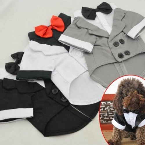 Wedding Tuxedo Western Style Pet Suit