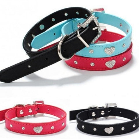 Pet Collar & Lead