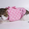 Cotton Knot Dot Pattern Warm Pet Clothes